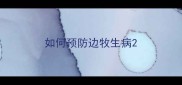 如何预防边牧生病