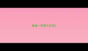 泰迪一年剪几次毛