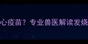 犬体温升高能否接种核心疫苗专业兽医解读发烧后疫苗接种的科学指南