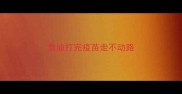 泰迪打完疫苗走不动路