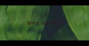 猫咪去浴缸里拉屎