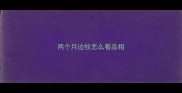 两个月边牧怎么看品相