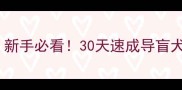拉布拉多训练教程新手必看30天速成导盲犬级服从性训练指南