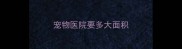 宠物医院要多大面积