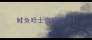 鲑鱼哈士奇能吃吗