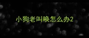 小狗老叫唤怎么办