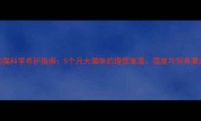 幼猫科学养护指南5个月大猫咪的理想室温湿度与饲养要点