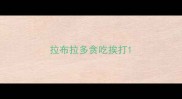 拉布拉多贪吃挨打