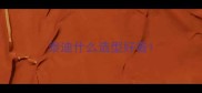 泰迪什么造型好看