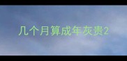 几个月算成年灰贵