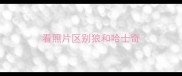 看照片区别狼和哈士奇