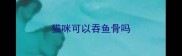 猫咪可以吞鱼骨吗
