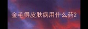 金毛得皮肤病用什么药