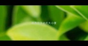拉布拉多幼犬大小便