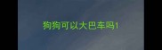 狗狗可以大巴车吗