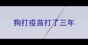狗打疫苗打了三年