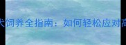 赛级哈士奇幼犬饲养全指南如何轻松应对高智商犬种挑战