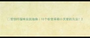 受惊吓猫咪安抚指南10个秒变乖萌小天使的方法