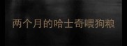 两个月的哈士奇喂狗粮