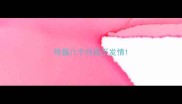 母猫八个月还不发情