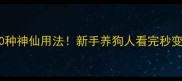 哈士奇毛的10种神仙用法新手养狗人看完秒变手作达人