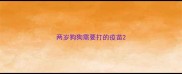 两岁狗狗需要打的疫苗
