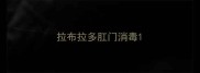 拉布拉多肛门消毒