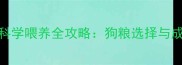 三个月萨摩耶幼犬科学喂养全攻略狗粮选择与成长关键期护理指南