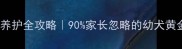 萨摩耶5个月养护全攻略90家长忽略的幼犬黄金期管理指南