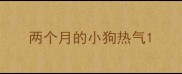 两个月的小狗热气