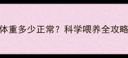3个月大拉布拉多体重多少正常科学喂养全攻略附成长曲线图