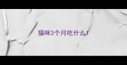 猫咪3个月吃什么