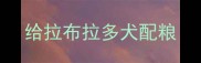 给拉布拉多犬配粮