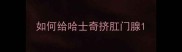 如何给哈士奇挤肛门腺
