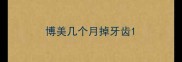 博美几个月掉牙齿