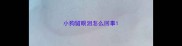 小狗留眼泪怎么回事