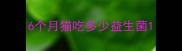 6个月猫吃多少益生菌