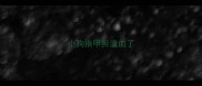 小狗指甲剪流血了