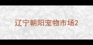 辽宁朝阳宠物市场