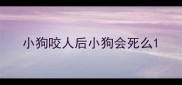 小狗咬人后小狗会死么