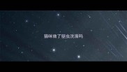 猫咪做了驱虫洗澡吗