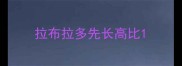 拉布拉多先长高比