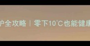 边牧冬季户外养护全攻略零下10也能健康过冬的5大秘诀