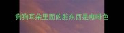 狗狗耳朵里面的脏东西是咖啡色