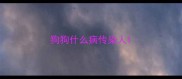 狗狗什么病传染人