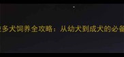拉布拉多犬饲养全攻略从幼犬到成犬的必备指南