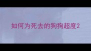 如何为死去的狗狗超度
