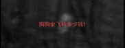 狗狗坐飞机多少钱