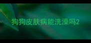 狗狗皮肤病能洗澡吗