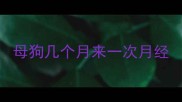 母狗几个月来一次月经